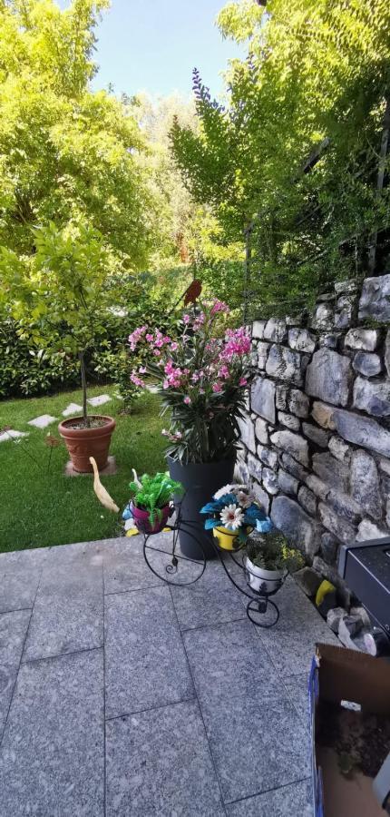 Magic Garden With Jacuzzi-Pool And Luxury Lake Como View Lenno Exterior photo